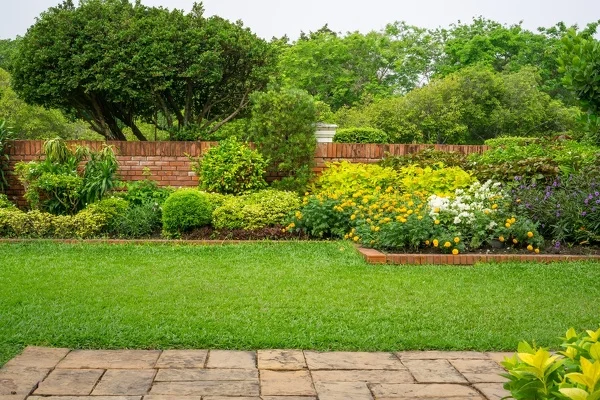 Professional Landscaping Company in San Mateo, CA Professional Landscaping Company in San Mateo, CA