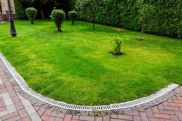 Professional landscaping service Professional landscaping service