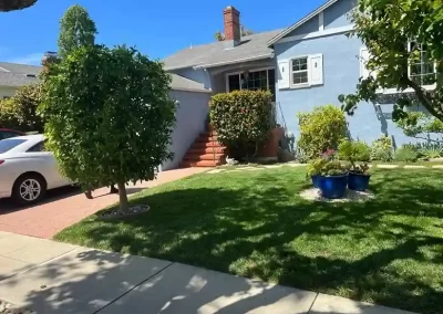 Efficient Landscape Services