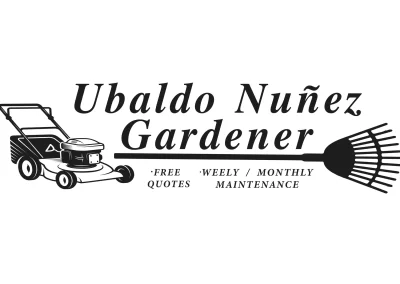 Professional Landscape Services