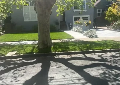 Professional Landscape Services