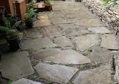 Professional Landscape Services