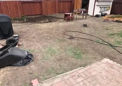 Professional Landscape Services