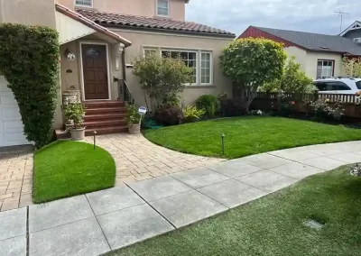 Professional Landscape Services