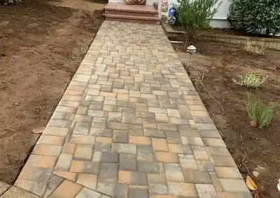 Professional Landscape Services
