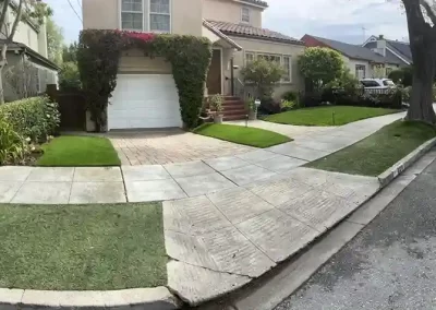Professional Landscape Services