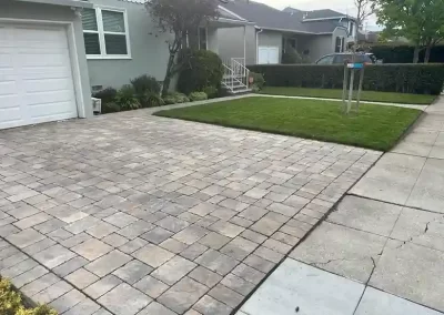 Professional Landscape Services