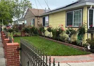Professional Landscape Services