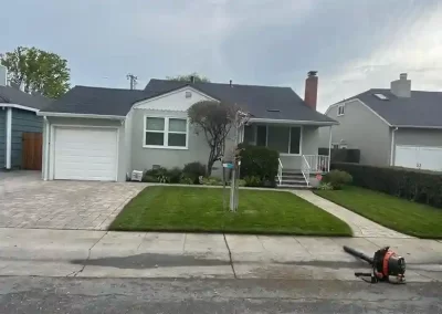 Professional Landscape Services