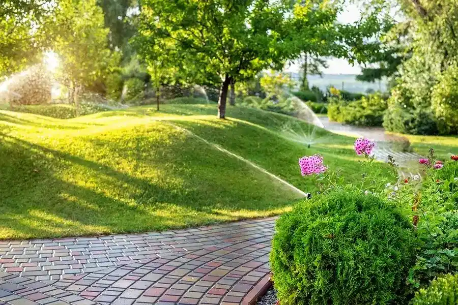 Affordable Irrigation System Installation in San Mateo, CA