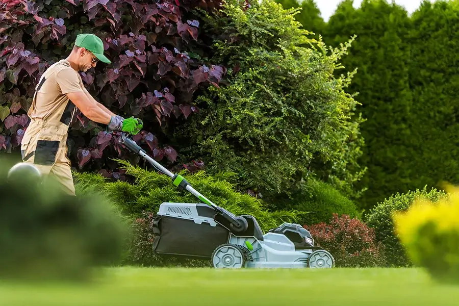Professional Yard Clean-Up in San Mateo, CA Professional Yard Clean-Up in San Mateo, CA